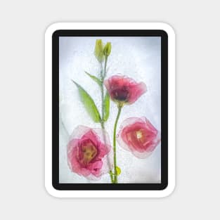 Lisianthus Flowers in Ice Magnet