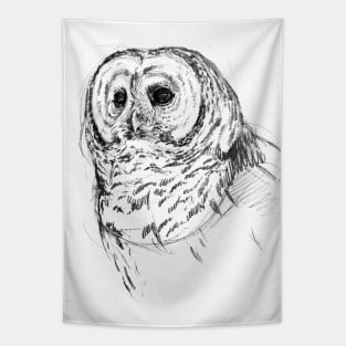 Barred Owl Art Sketch Design Tapestry