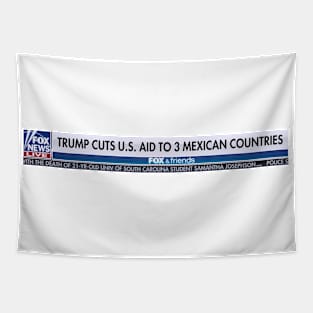 Trump Cuts US Aid to 3 Mexican Countries Tapestry