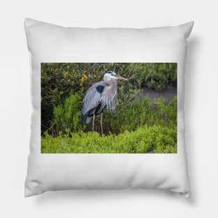 The Great Blue Heron In A Green Surround Pillow