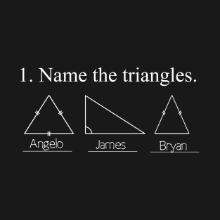 Name the Triangles Sarcastic Funny Design T-Shirt