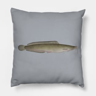 North Africa Catfish Pillow