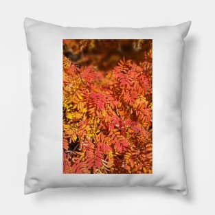 Autumn Pillow