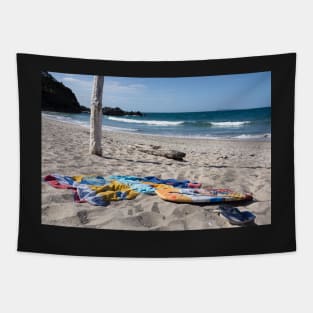 gone swimming Tapestry