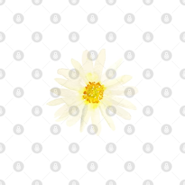 Daisy | Watercolor | Art | Pattern | White by Harpleydesign