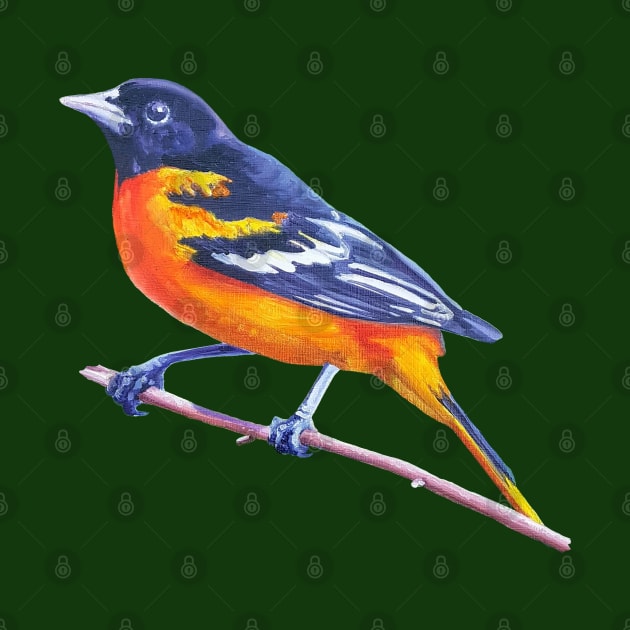 Baltimore Oriole - bird painting (no background) by EmilyBickell