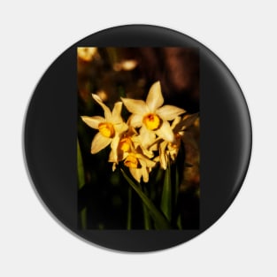 Daffodil flowers Pin