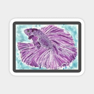 Purple Betta fish Magnet