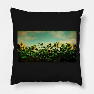 A Field of Sunflowers Pillow