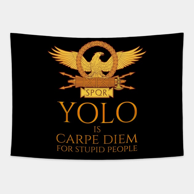 YOLO is Carpe Diem for stupid people Rome SPQR Quote Tapestry by Styr Designs