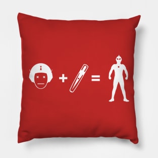 Ultra 1966 Equation (variant) Pillow