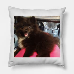 Pom Pom V Pillow