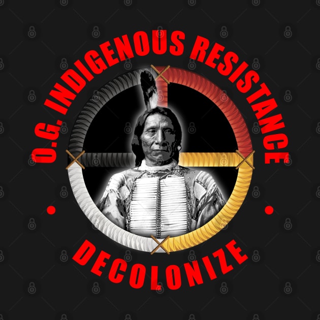O.G. INDIGENOUS RESISTANCE 2 Chief Maȟpíya Lúta (Red Cloud) by GardenOfNightmares