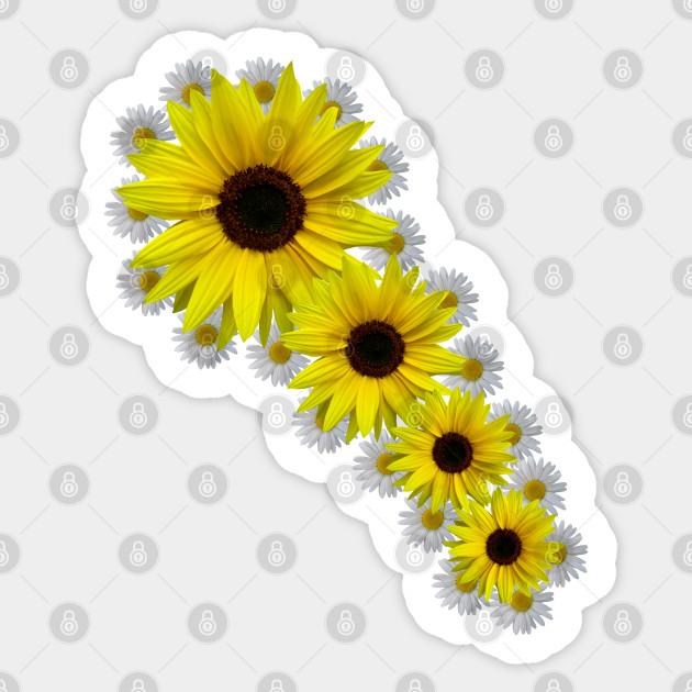 Sunflower Daisy Bloom Floral Flowers Sunflower Gift Sticker Teepublic