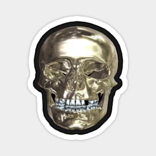 Chrome Skull Magnet