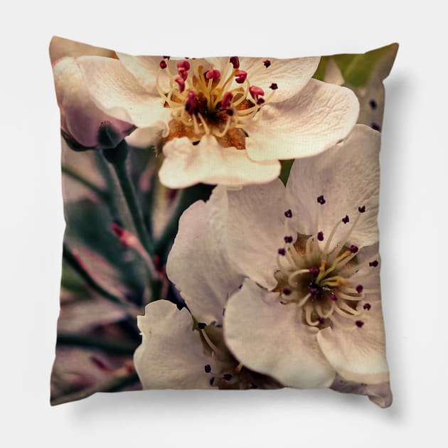 Blossoms at Dusk Pillow by micklyn