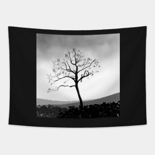 Lonely Winter Tree Tapestry