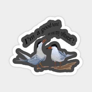 BIRDS BY THE OCEAN : TERNS my tern Magnet