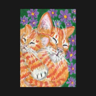 orange ginger kitten T-Shirt