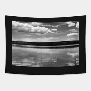 Summer Clouds in Black and White Tapestry