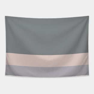 A beautiful transfusion of Very Light Pink, Grey, Gray (X11 Gray) and Lotion Pink stripes. Tapestry