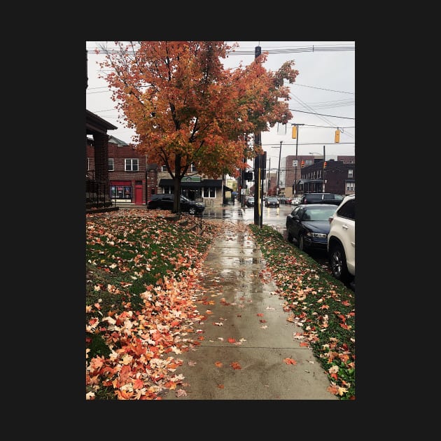 Rainy Autumn Day in Columbus, Ohio by offdutyplaces