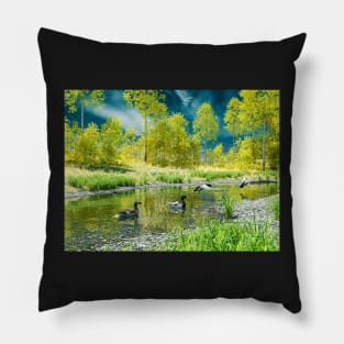 Mallard ducks in the lake Pillow