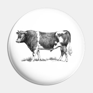 Bull Black and White Vintage Illustration Pin