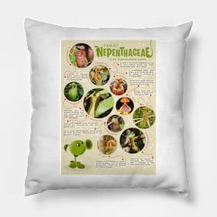 Family Nepenthaceae Pillow