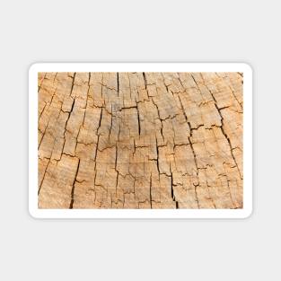 Naturally cracked wood Magnet