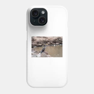 Cormorant  On The Rocks Phone Case