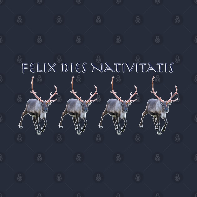 Felix dies Nativitatis by FotoJarmo