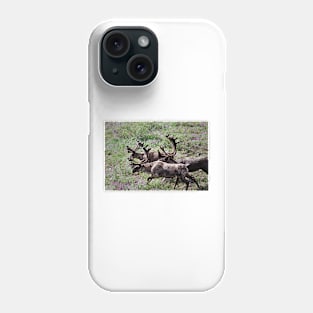 WGC_1273 Phone Case