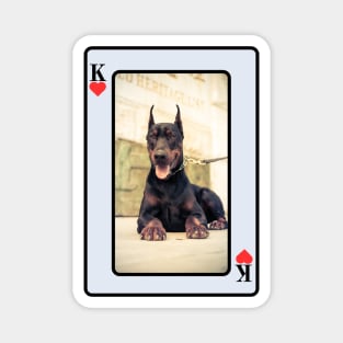 Doberman Pinscher Magnet