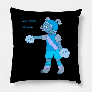 Water (H2O) Pillow