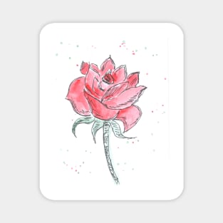 Red beautiful flower rose, plant, nature. Watercolor, art decoration, sketch. Illustration hand drawn modern painting Magnet