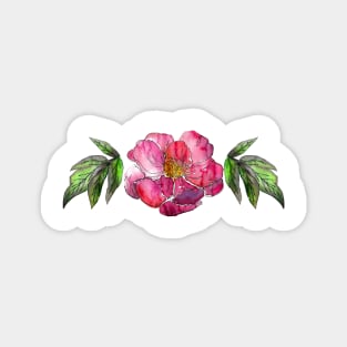 Watercolor peonies pink spring girly Magnet