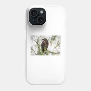 Green Heron Perched Phone Case