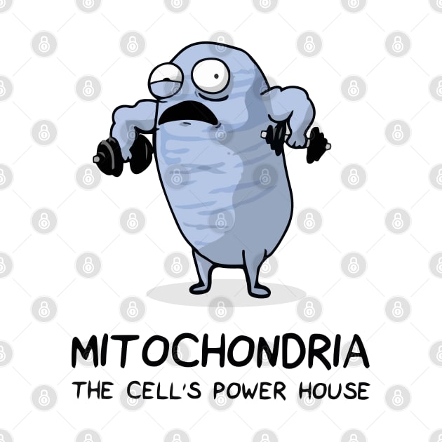 Mitochondria The powerhouse of the cell. by labstud