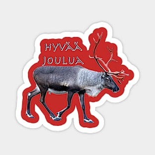 Hyvaa Joulua Magnet