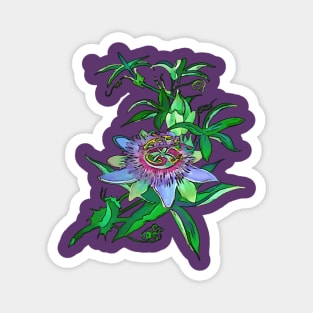 Passion Flower Blossom Black Outline Vector Art Magnet