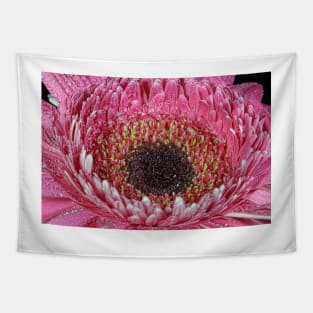 A pink Gerbera Daisy. Tapestry