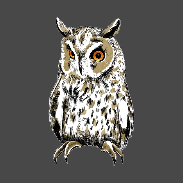 Owl by Perezart99