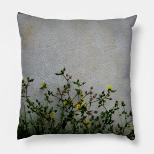 Yellow daisies wild flowers white wall Pillow