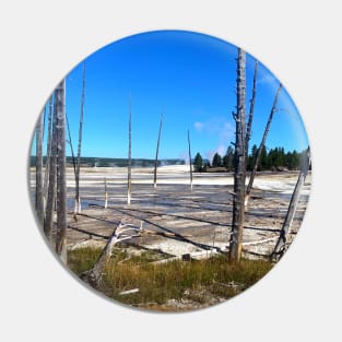 Dead Trees on the Geyser Pin