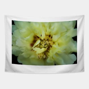 Garden Yellow Peony 4 Tapestry