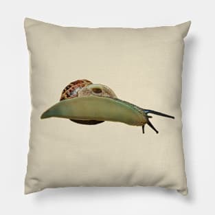 Snail Pillow