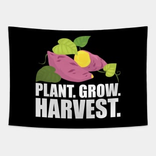 Sweet Potato farmer - Plant Grow Harvest w Tapestry