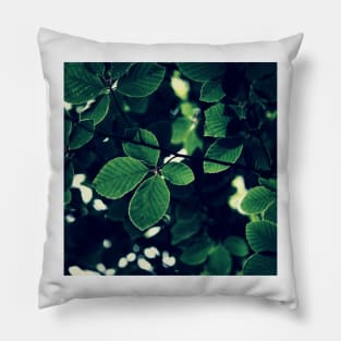 Green Leaves Pillow