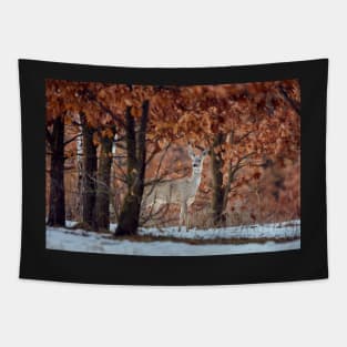 Roe deer in the forest Tapestry